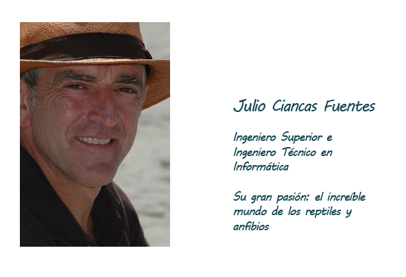 Julio Ciancas Fuentes